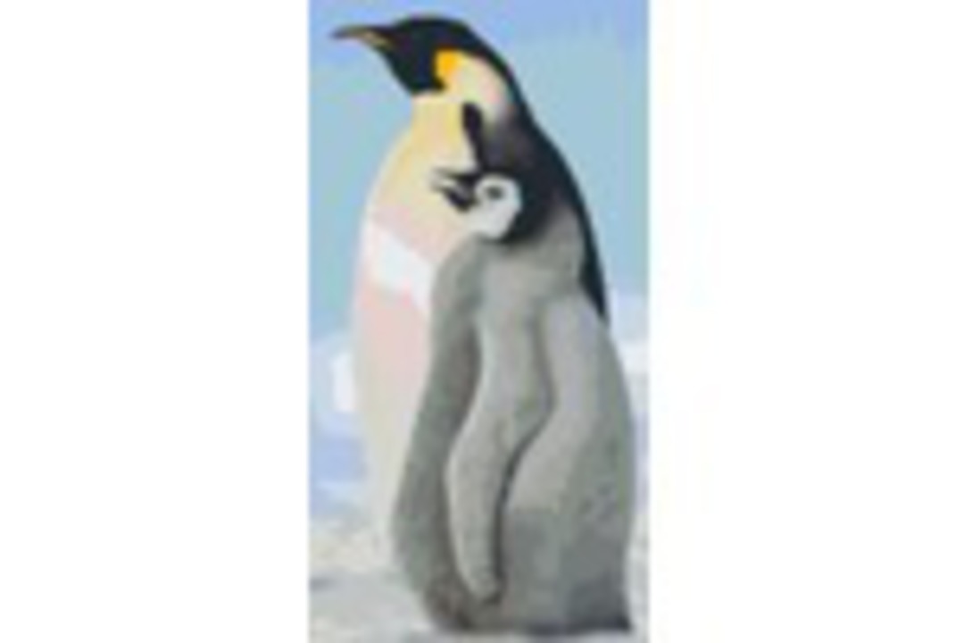 Emperor Penguin With Chick Six [6] Baseplate PixelHobby Mini-mosaic Art Kits image 0